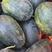 广西西瓜，产地大量批发，瓜甜，个头好看，代发全国