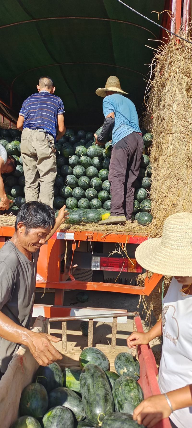 广西西瓜，产地大量批发，瓜甜，个头好看，代发全国