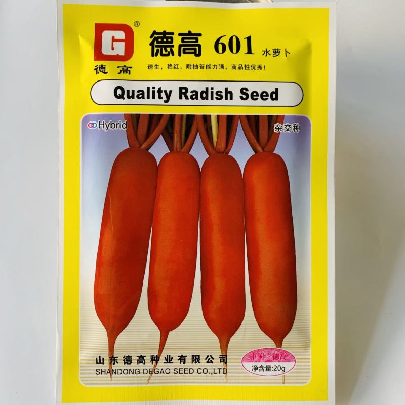 德高601水萝卜种子春秋速生皮色艳红含水量大红皮白肉萝卜