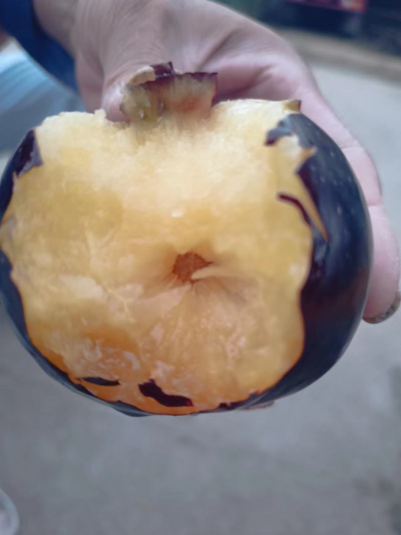 黑布林李子，自家果园现摘现发！自然成长味道好！不催熟果子