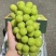 山东阳光玫瑰葡萄，货源充足，量大从优，对接全国市场.商超