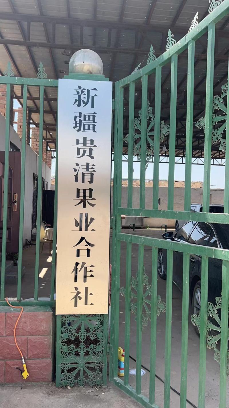 哈密瓜，新疆产地一手货源，光照足，甜度高，批发到全国各地
