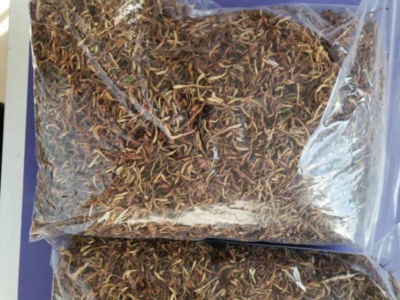大别山野生太阳晒干金银花，口感好