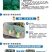 欧兰德撒利亚6号西兰花种子早熟低温不易发紫青花菜种子
