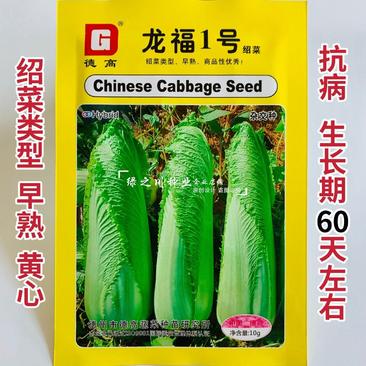 龙福1号绍菜种子黄心早熟一代杂交抗病龙芽菜种子大白菜种子