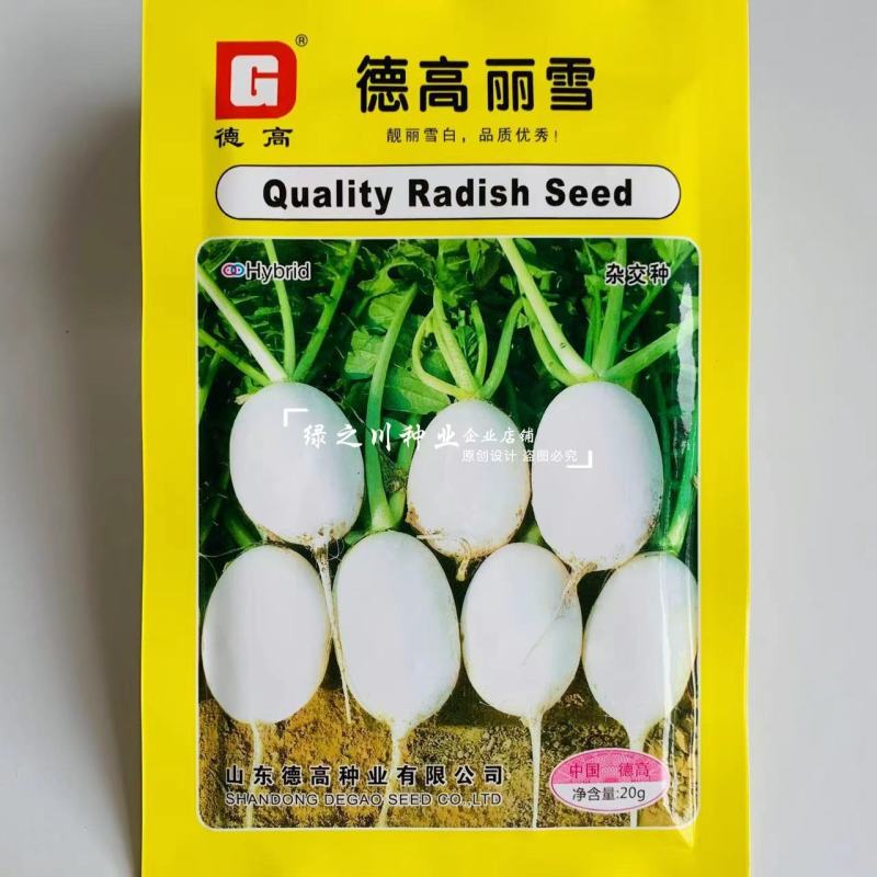 德高丽雪白萝卜种子花叶皮薄白皮白肉萝卜种子秋季萝卜籽