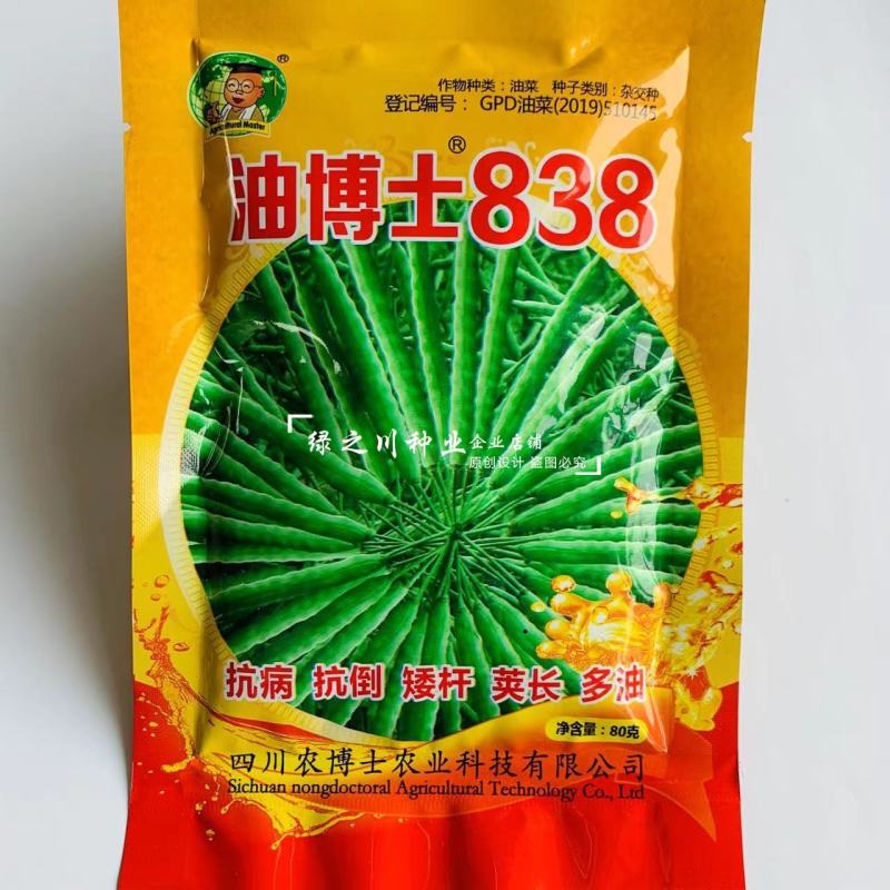 油菜籽种子四川油博士838油菜种子矮杆抗病荚长出油量多