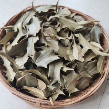 云南红河十大功劳叶