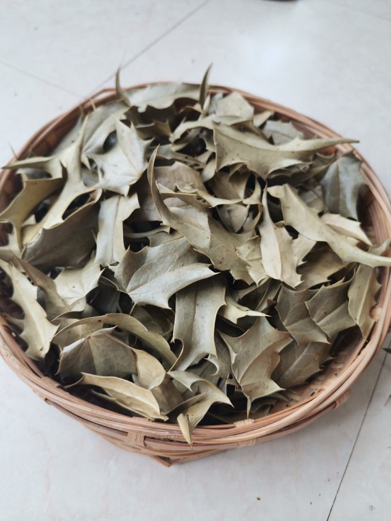 云南红河十大功劳叶