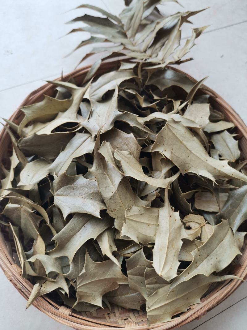 云南红河十大功劳叶