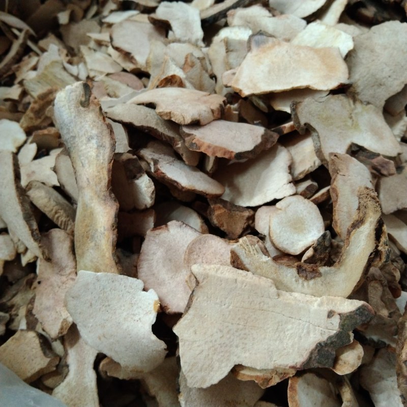土茯苓批发广西粉土茯苓新鲜白色晒干土茯苓厚大中粒