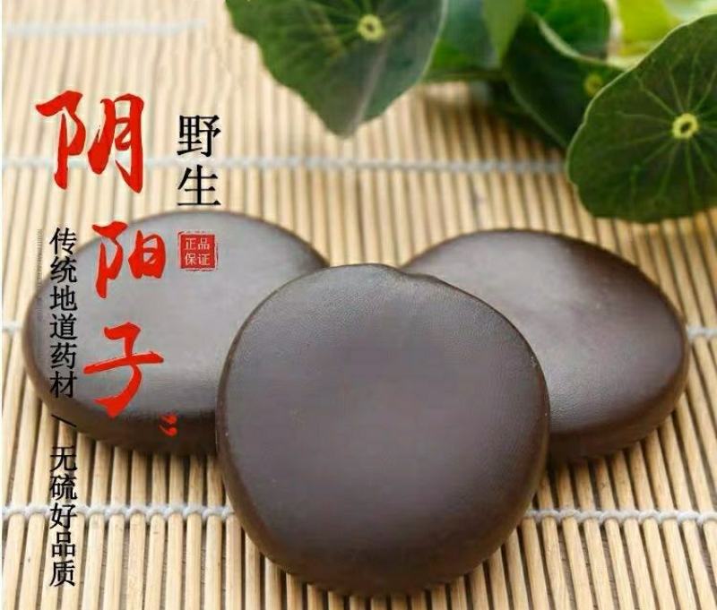 阴阳子中药材肾果木腰子泡茶泡酒料营养丰富包邮