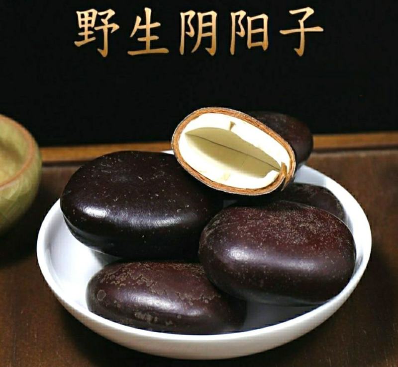 阴阳子中药材肾果木腰子泡茶泡酒料营养丰富包邮