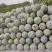 冬瓜/水果冬瓜产地直发保质保量全国代发欢迎老板联系