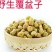 覆盆子中药小材覆盆子颗粒饱满口感甘醇泡水泡酒煲汤
