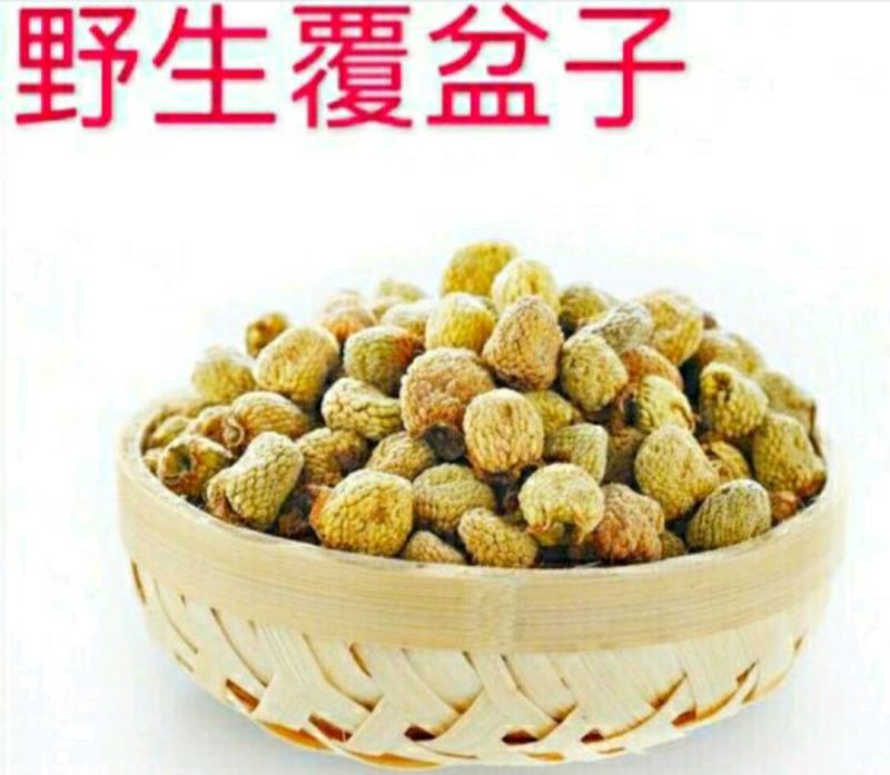 覆盆子中药小材覆盆子颗粒饱满口感甘醇泡水泡酒煲汤