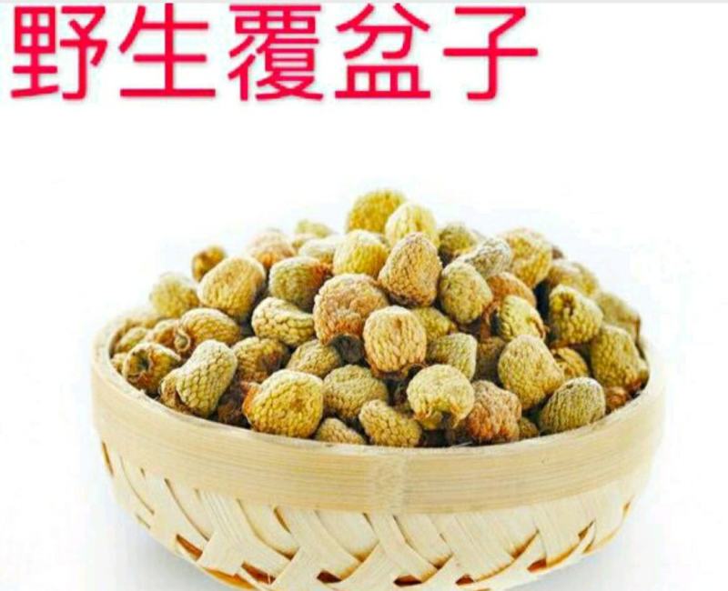 覆盆子中药小材覆盆子颗粒饱满口感甘醇泡水泡酒煲汤