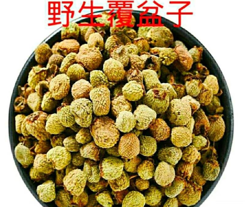 覆盆子中药小材覆盆子颗粒饱满口感甘醇泡水泡酒煲汤