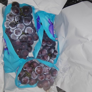 盖州精品巨风葡萄