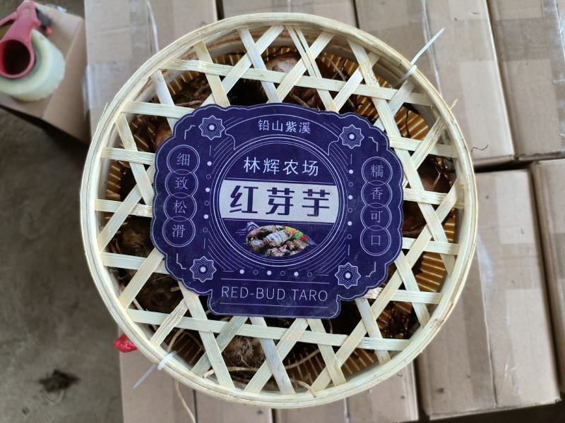 红土育红芽