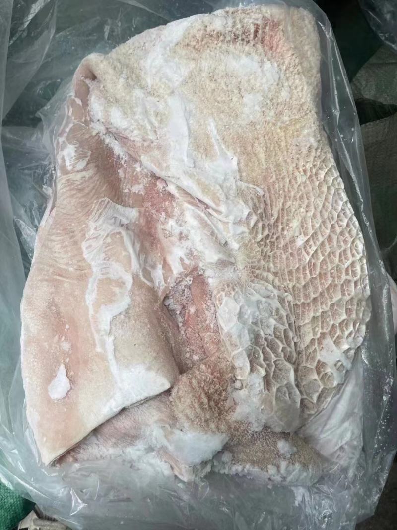 国产纯干半成品牛肚，精修无油