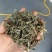 旱莲草，产地直供，一手货源，欢迎大家来电咨询