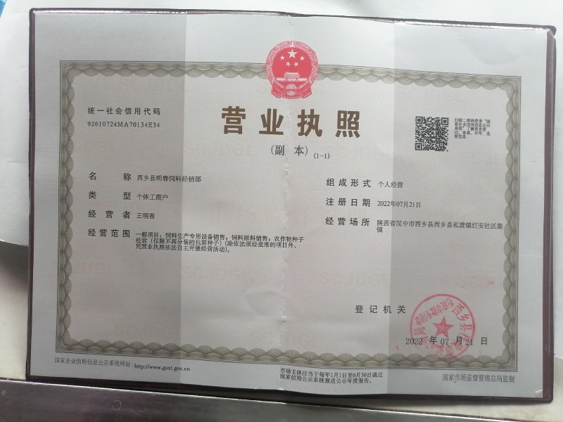 牧草王草种产量高耐旱耐贫南北均可种植口感好牛羊都爱吃