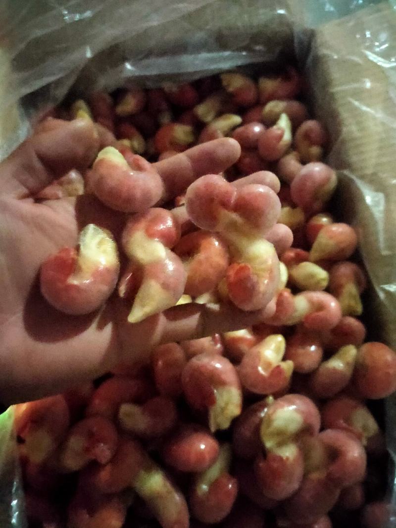 特A级单冻龙虾尾9斤装标准95粒欢迎咨询