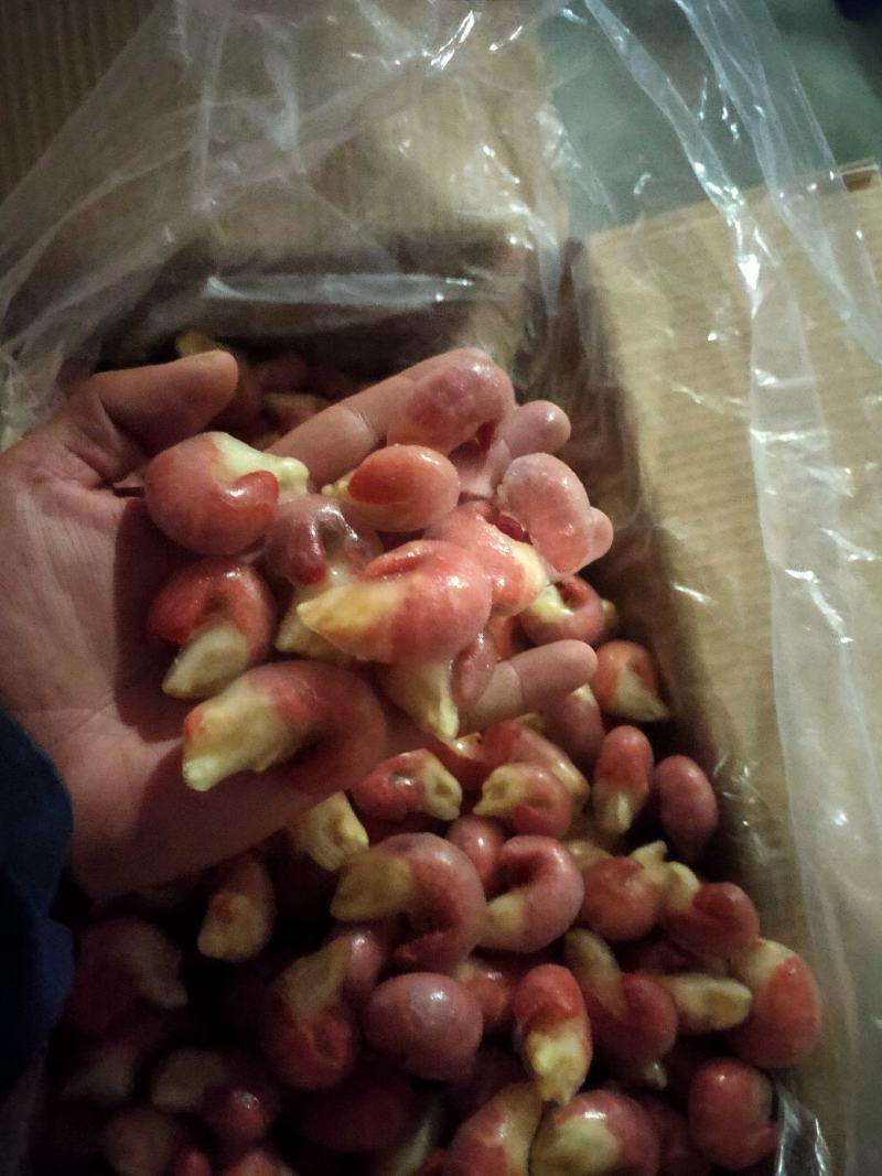 特A级单冻龙虾尾9斤装标准95粒欢迎咨询