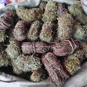 广西带叶小扎鸡骨草，新货青绿鸡骨草，大量批发，