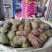 广西带叶小扎鸡骨草，新货青绿鸡骨草，大量批发，
