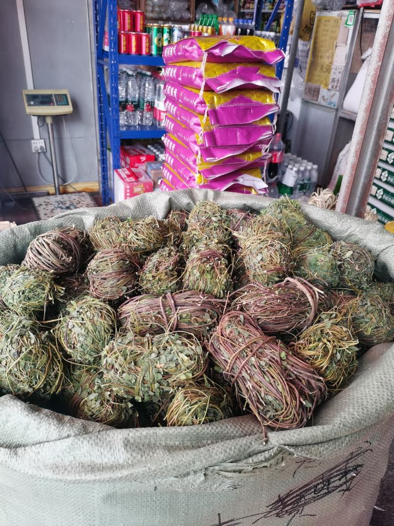 广西带叶小扎鸡骨草，新货青绿鸡骨草，大量批发，