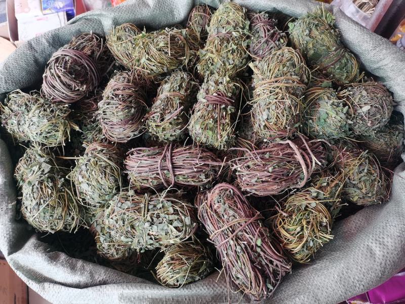 广西带叶小扎鸡骨草，新货青绿鸡骨草，大量批发，