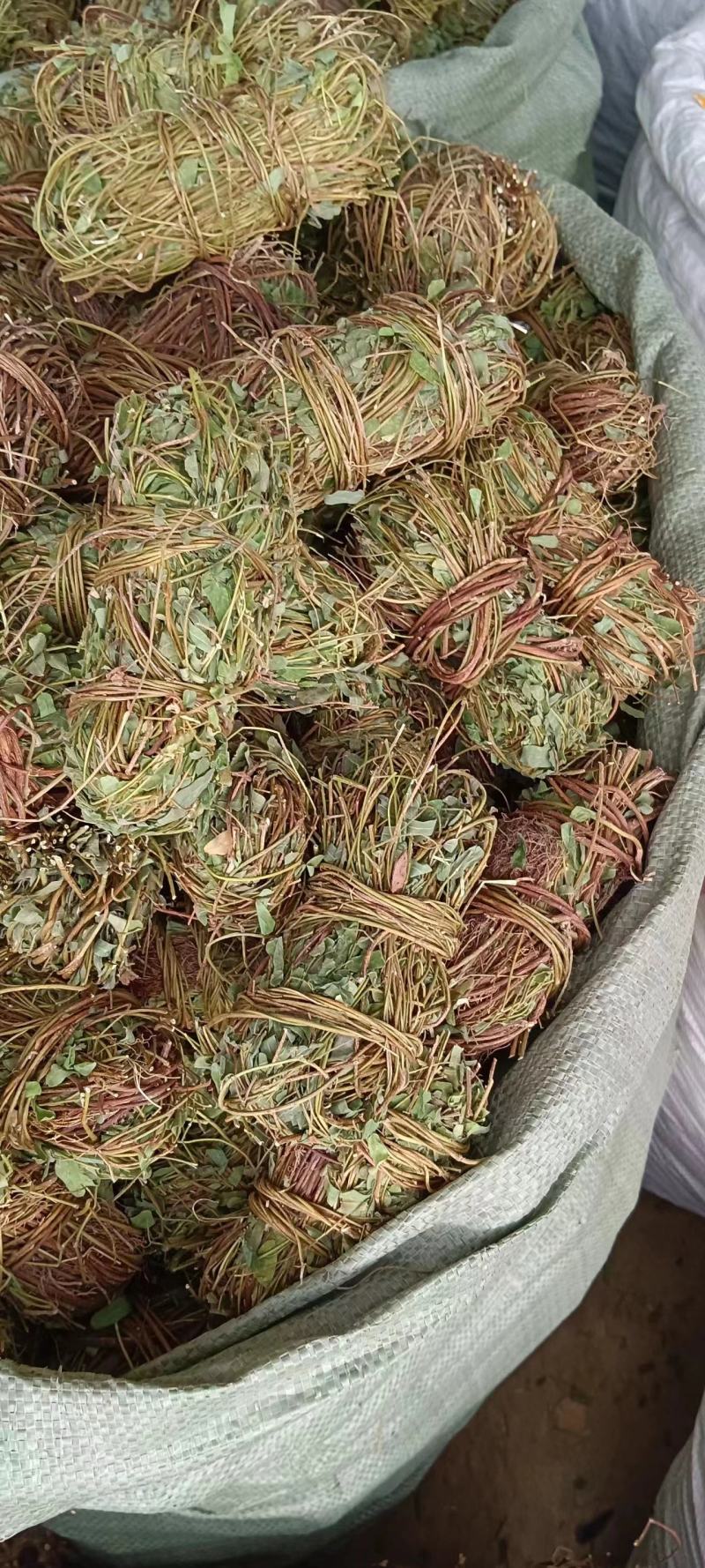 广西带叶小扎鸡骨草，新货青绿鸡骨草，大量批发，