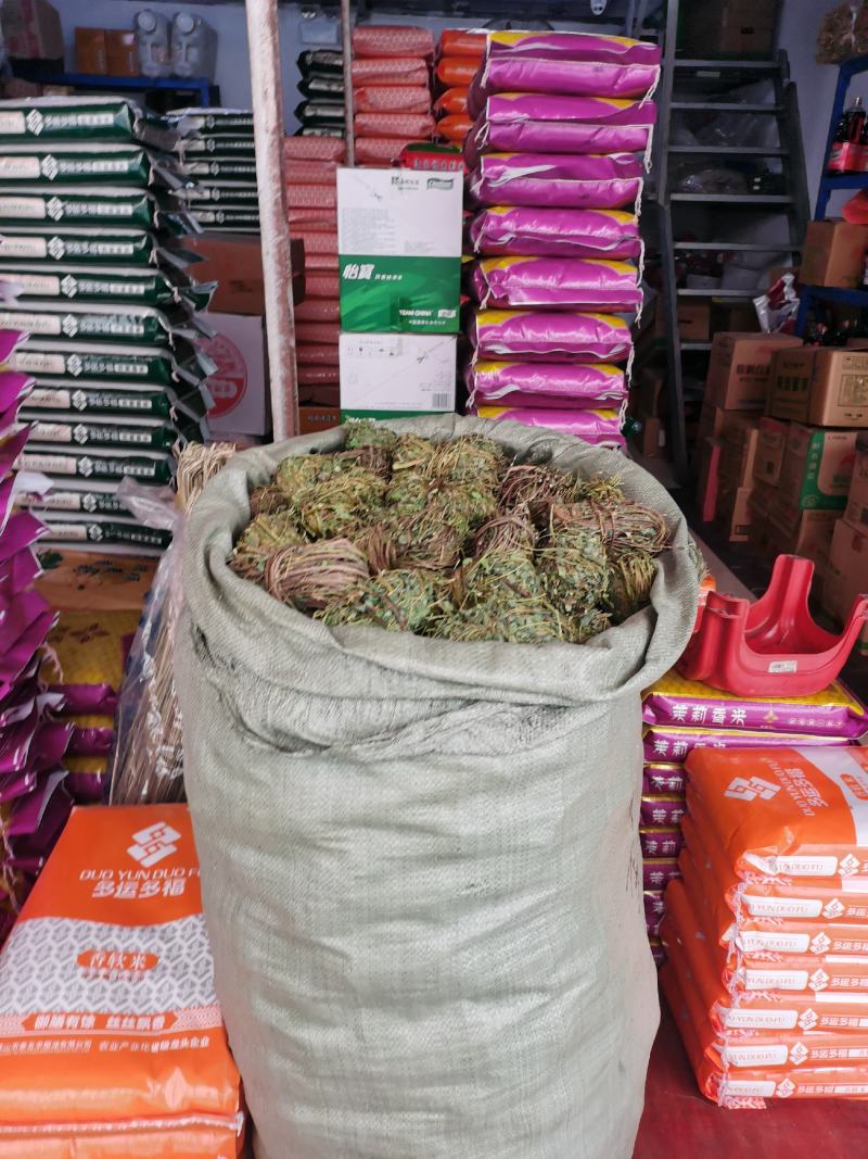 广西带叶小扎鸡骨草，新货青绿鸡骨草，大量批发，