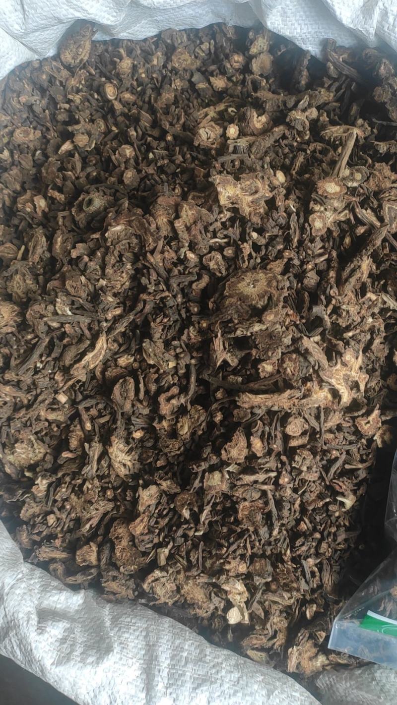 羌活干货羌活中药材量大从优欢迎选购！