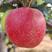 辽宁绥中鲁丽苹果，果型正，颜色好看，质量好大量有货