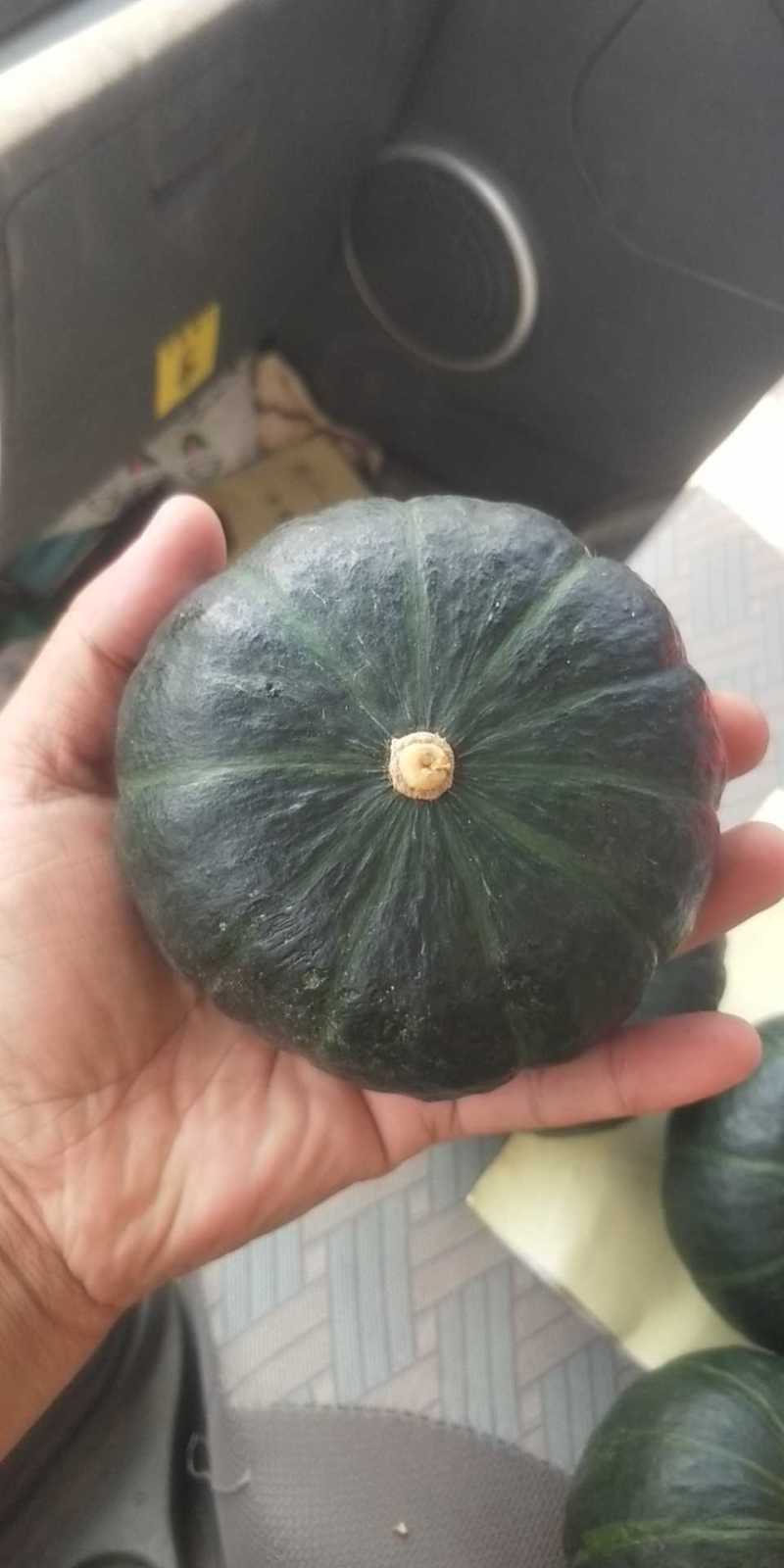 贝贝南瓜，老瓜，嫩瓜，红贝贝，菊瓜，惠和一号，三色栗都有