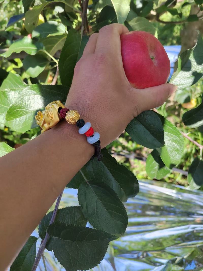 苹果红苹果昭通苹果糖心苹果华硕苹果