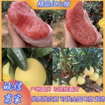 柚子琯溪蜜柚精选红心柚产地一手货源量大从优全国发货
