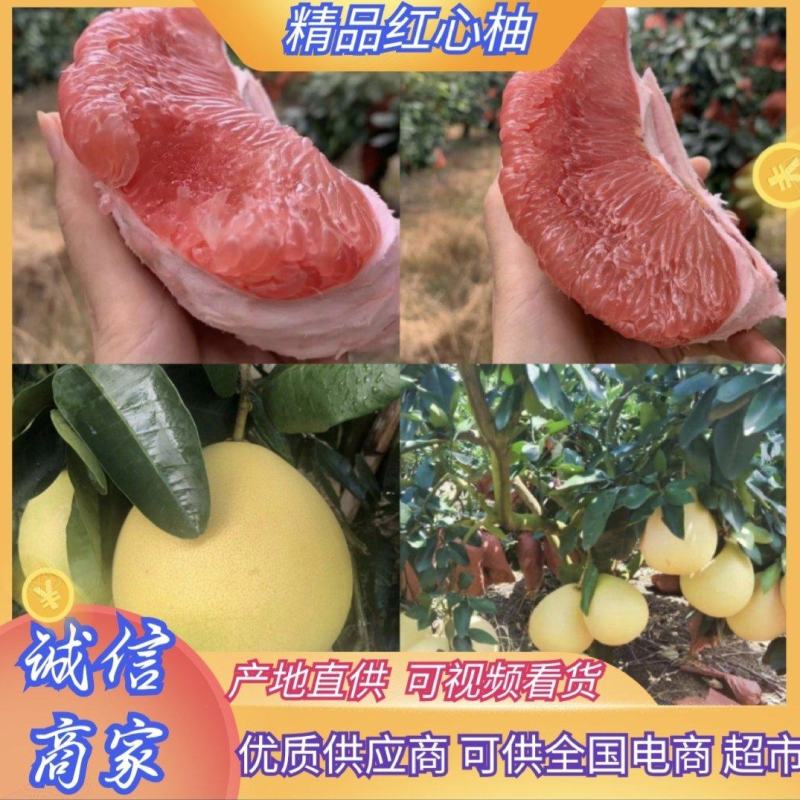 柚子琯溪蜜柚精选红心柚产地一手货源量大从优全国发货