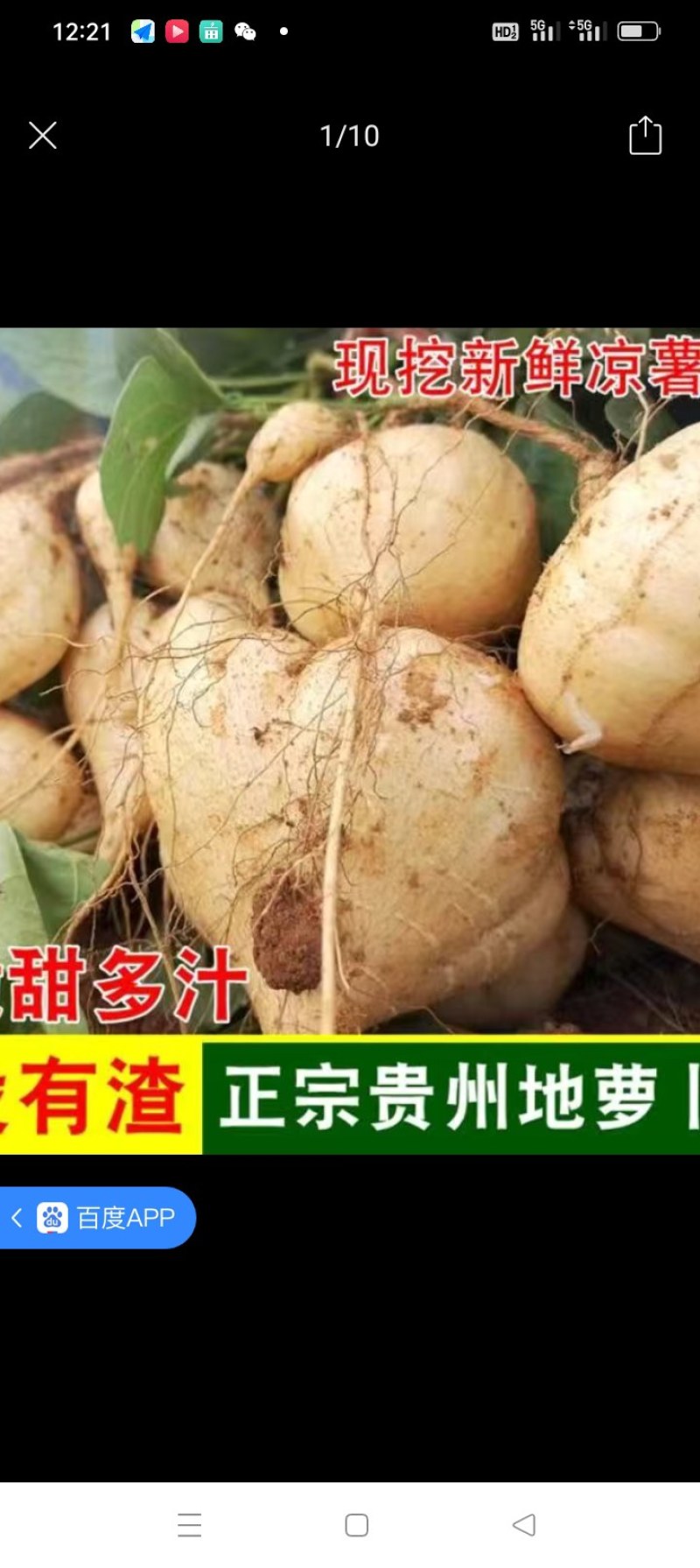 贵州正宗地萝卜，有老板要货的请联系我