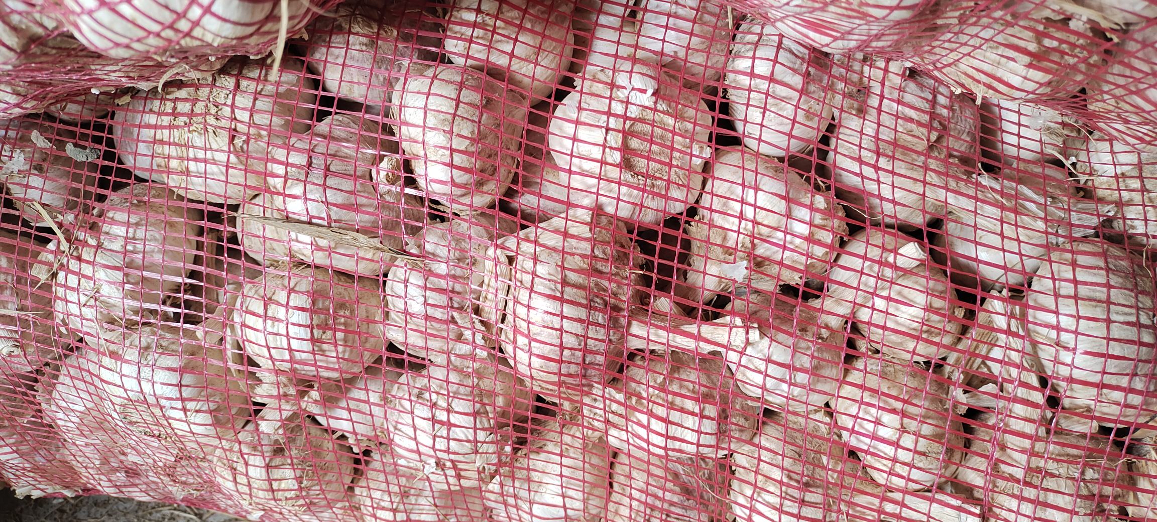 蒜米成品展示图