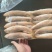 三牙鱼100/200假黄鱼三牙鱼三牙鱼100/200假黄