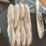 三牙鱼100/200假黄鱼三牙鱼三牙鱼100/200假黄