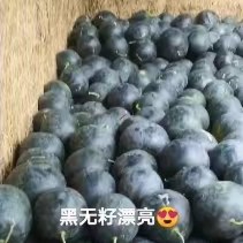 黑无籽西瓜大量出货，产地直发，价格便宜，供货量大！