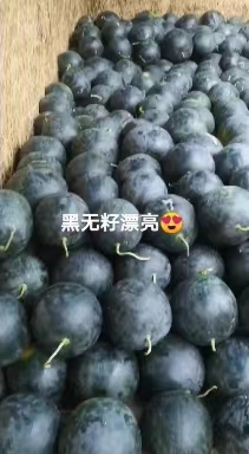 黑无籽西瓜大量出货，产地直发，价格便宜，供货量大！