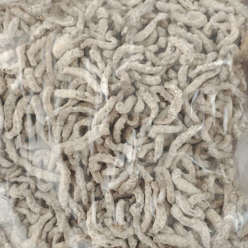 僵蚕，好僵蚕，过筛无沫，一手货源保质保量，批发各种中药材
