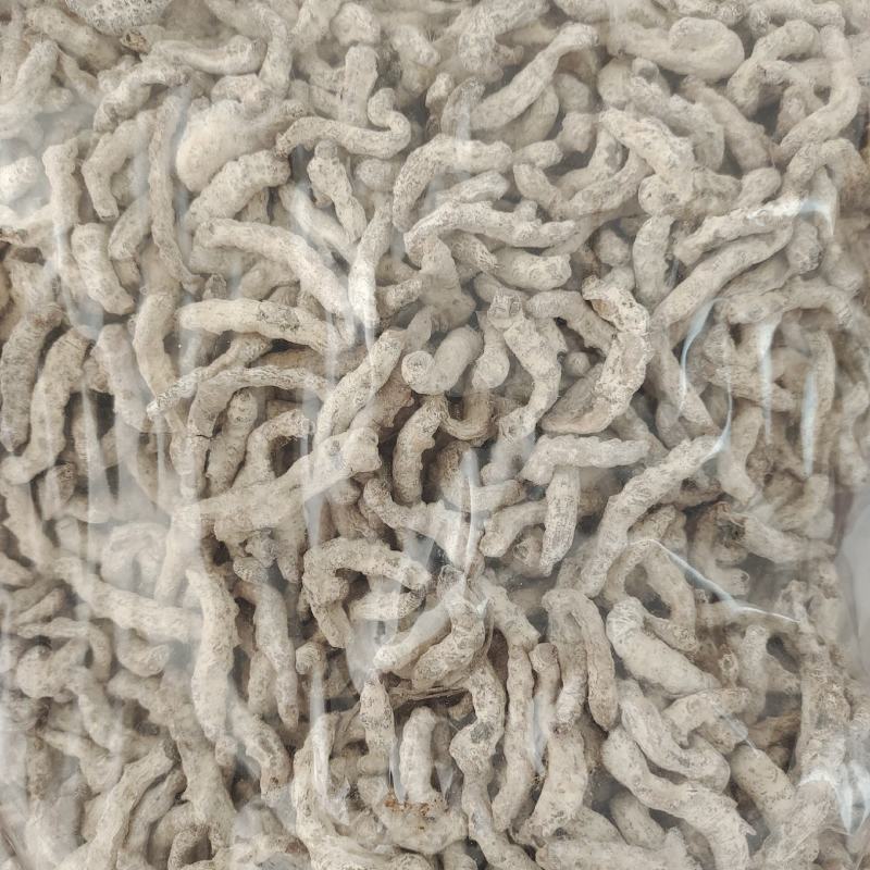 僵蚕，好僵蚕，过筛无沫，一手货源保质保量，批发各种中药材