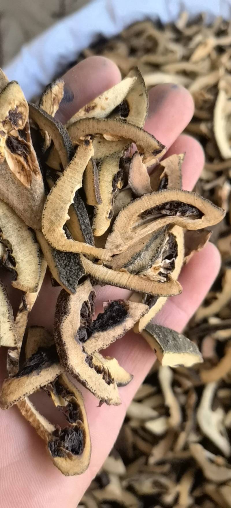 枳壳麸江西枳壳1000g起批关书药业批发中药